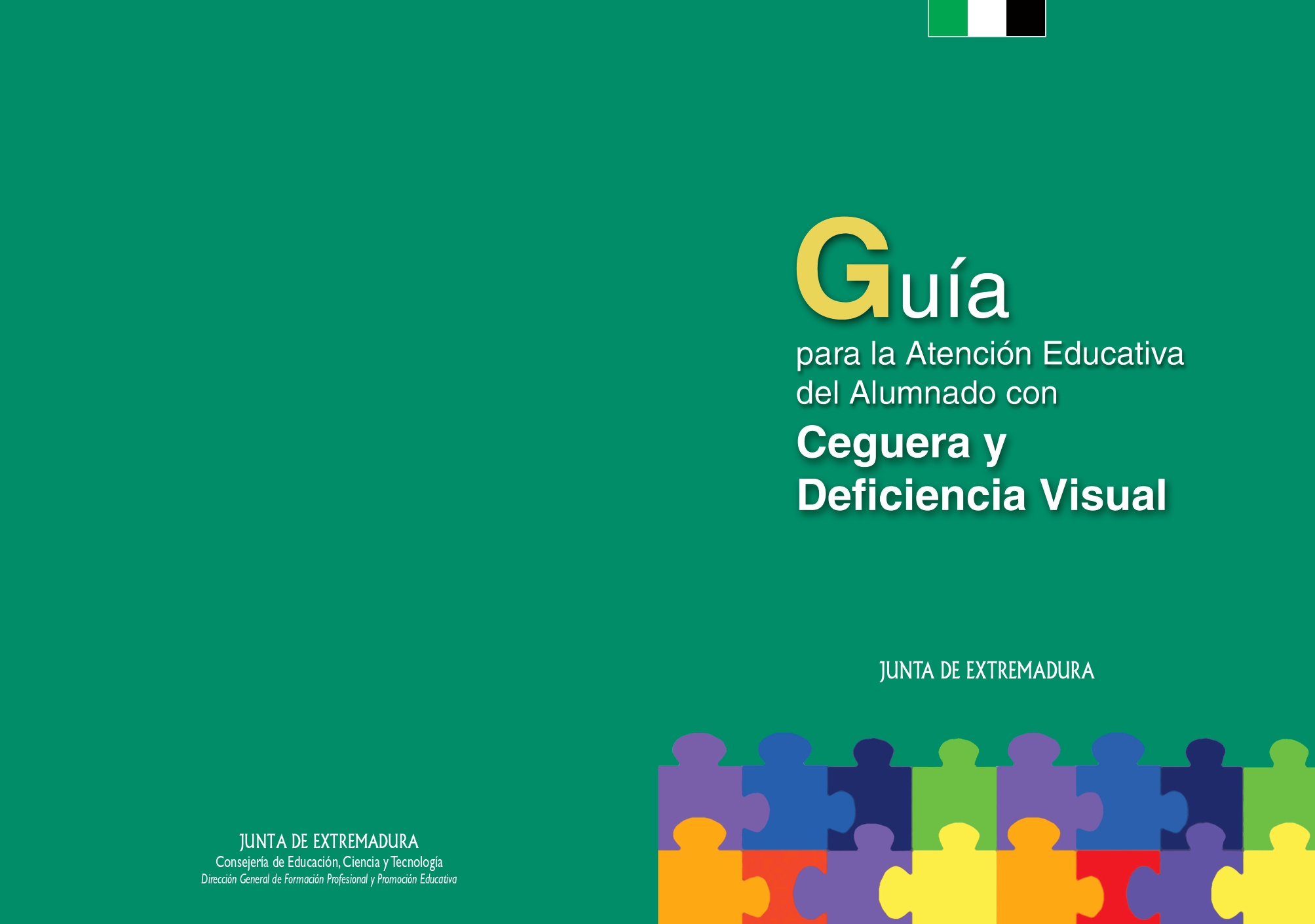 Guía atención discapacidad visual